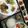 クックTPOO81☆'s cooksnap of when they made プチトマトの和風マリネ♪.