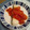 あかりんりん♪'s cooksnap of when they made 鱈のトマトソースがけ.