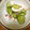 減塩パパ's cooksnap of when they made 塩イカのきゅうり和え.