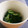 クック6DDPP8☆'s cooksnap of when they made ワカメときゅうりの酢の物.