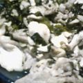 Ryozy's cooksnap of when they made 豚肉と高菜炒め.