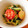 ちおりりりり's cooksnap of when they made トマトときゅうりの❀ツナマヨナムル.