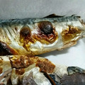 メロメロメロ's cooksnap of when they made 簡単にできる、鯖のぬか漬け焼き.