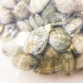 りちな's cooksnap of when they made 魚河岸直伝！簡単！アサリの砂抜き☆.