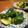 りんごあっぷる's cooksnap of when they made 【簡単】博多胡瓜のたたき・ゴマ和え　.