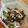 i_yokan's cooksnap of when they made するめいかの塩昆布和え.
