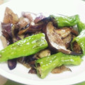 みっくママ's cooksnap of when they made ナスとしし唐のの炒め物.