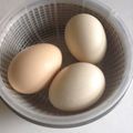 たろべえ2000's cooksnap of when they made 塩味付きゆでたまご.
