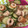 KSTake's cooksnap of when they made ☆きゅうりとちくわの酢の物☆.