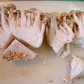 もりはん's cooksnap of when they made 知ってた？しめじの石づきの取り方.