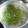 泉李†'s cooksnap of when they made 便利です！実山椒の下処理と保存方法.