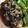 さくら1102's cooksnap of when they made ナスのさっぱり煮浸し.