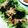 0momo226's cooksnap of when they made 水菜のきのこ乗せサラダ.