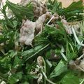 （たく）'s cooksnap of when they made 薬味たっぷり！水菜の冷しゃぶサラダ.
