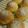 やんころgm1101's cooksnap of when they made ✿マンゴーたっぷりのプチパン✿.