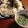 ラメゾンブラン's cooksnap of when they made くるみだれとトマトだれでいただくそうめん.