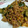 ぷちょ。's cooksnap of when they made きゅうりと挽肉のアジアン炒め.