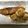 クックI6NLMD☆'s cooksnap of when they made ぶりとキャベツの照り焼き.