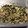 あごちくわ's cooksnap of when they made 簡単！みょうがツナマヨ和え.
