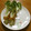 低カロ探検隊's cooksnap of when they made ちくわのカイワレさん.
