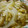 低カロ探検隊's cooksnap of when they made 新玉ねぎと麩の卵とじ.