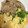 はるか＊ワーママ's cooksnap of when they made 簡単炊き込みご飯！さんまの蒲焼きの缶詰で.