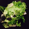 haribogb's cooksnap of when they made ∮グリーンリーフ✰韓国風✰彡海苔サラダ∮.