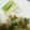 dearestme's cooksnap of when they made 2分でできる！レンジでおつまみ塩ネギ.