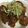 diosmio's cooksnap of when they made うちのまぐろのづけ丼♪.