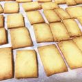 tochinon's cooksnap of when they made ずぼらな私でも！簡単☆おからクッキー.