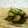 赤い電話's cooksnap of when they made ナスとキュウリの簡単漬物.