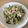 クックX9GUEX☆'s cooksnap of when they made 我が家の♡鶏ささみときゅうりの和え物.