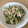 クックX9GUEX☆'s cooksnap of when they made 我が家の♡鶏ささみときゅうりの和え物.