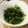 ビギナーえい's cooksnap of when they made 塩こぶピーマン.