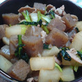 TOモカ's cooksnap of when they made 大根とこんにゃくの甘辛炒め.