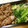 毎日楽しい's cooksnap of when they made 副菜にも！お弁当にも！小松菜とたまご炒め.