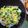 caribbeai's cooksnap of when they made 簡単５分！ニラと卵だけのニラ玉丼♪.
