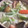 ﾌﾞﾚﾝﾀﾞ's cooksnap of when they made 和風ポトフ.