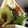 ｍａｍａｒａｄｅ's cooksnap of when they made 簡単HMで ツイスター風 お昼ご飯にも.