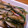 azusonomi's cooksnap of when they made 揚げずに作る、アジの南蛮漬け.