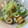 Laioikipi's cooksnap of when they made 簡単★セロリとちくわのさっぱりあえ物.