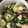 ばむむ's cooksnap of when they made 新定番！豆腐と小松菜のオイスター煮込み.