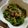 ささらんらん's cooksnap of when they made ノンオイル♡簡単♡ピーマンの塩昆布煮♡.