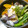 快くん's cooksnap of when they made かぼちゃとなすの揚げ漬け.