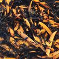 waikoable's cooksnap of when they made ひじきの煮物.