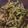 クックVI6LOP☆'s cooksnap of when they made もやしときゅうりの簡単ナムル！.