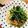 kaokaofood's cooksnap of when they made ツナとおろしで冷製パスタ.