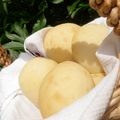 noamanma's cooksnap of when they made 天然酵母食パン.