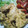 メタボーママ's cooksnap of when they made さくさくクリスピー　ｎａ　唐揚げ.