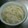 くえるてん's cooksnap of when they made 大根の塩漬け.